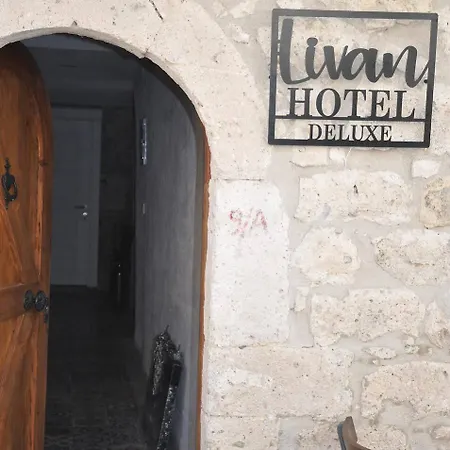 Hotel Livan Delux 3*